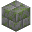 Mossy Stone Bricks