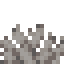 Dead Bubble Coral Fan