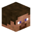 Player Head