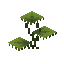 Small Dripleaf