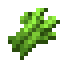 Sugar cane farm